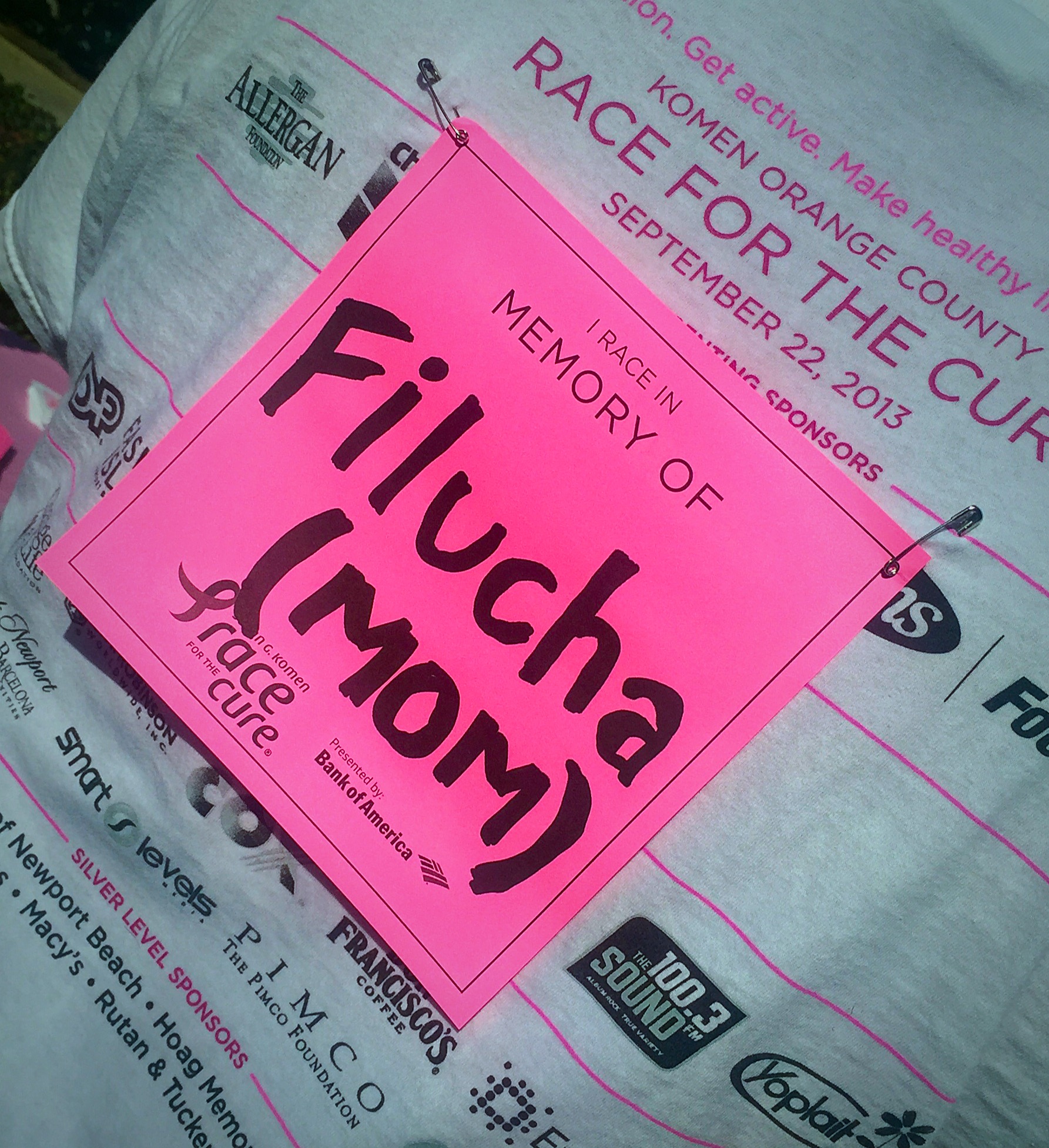 Race for the Cure 2015