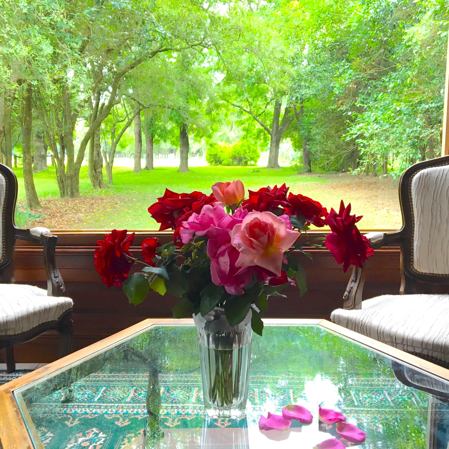 Te veo en estas rosas